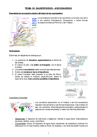 TEMA-10-SAUROPSIDOS-ARCOSAURIOS.docx.pdf