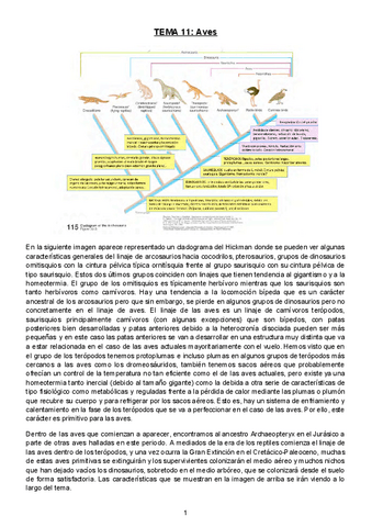 Tema-11-Aves.docx.pdf