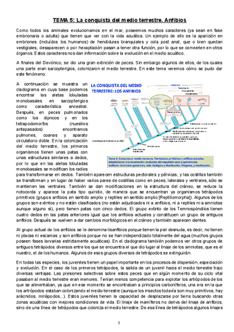 TEMA-5.docx.pdf