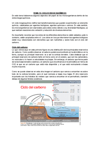 TEMA-13-CICLOS-BIOGEOQUIMICOS.pdf