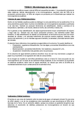 TEMA-8.pdf