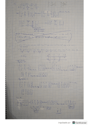 cuestionario-evaluable-mates-I.pdf