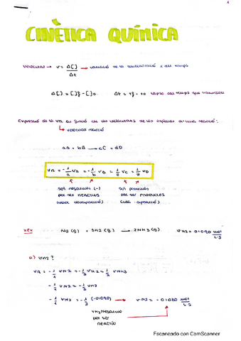 Tema-6-Cinetica-Quimica-Carla-Casasempere.pdf