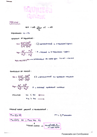 Tema-3-Equilibri-Quimic-Carla-Casasempere.pdf