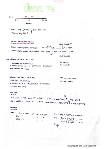 Tema-4-Ph-Carla-Casasempere.pdf