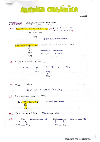 Quimica-Organica-Carla-Casasempere.pdf