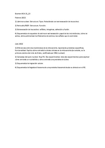 PreguntasExamenBCAfebrerojulio202122.pdf