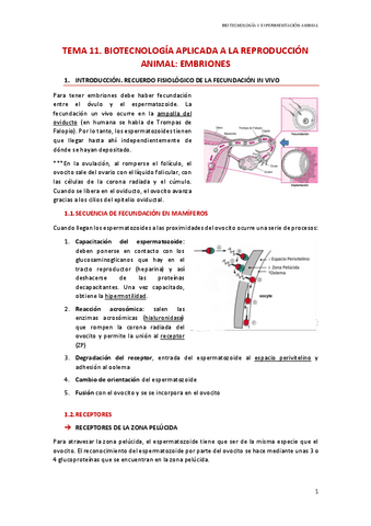 T11.-Biotecnologia-aplicada-a-la-reproduccion.-Embriones.pdf