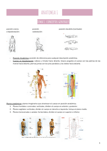 Anatomia-temas-1-3-6-y-9.pdf