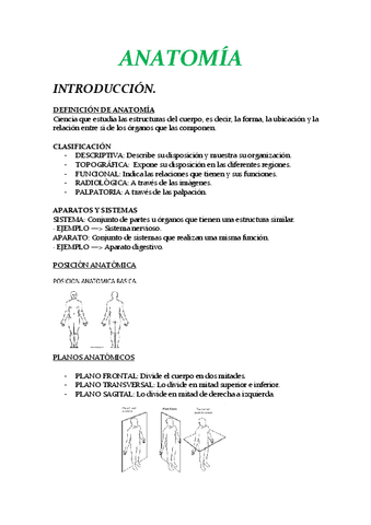 ANATOMIA-MMSS.pdf