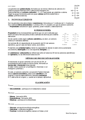 GLUCIDOS.pdf