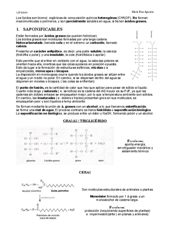 LIPIDOS.pdf