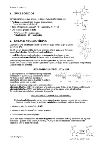 ACIDOS-NUCLEICOS.pdf