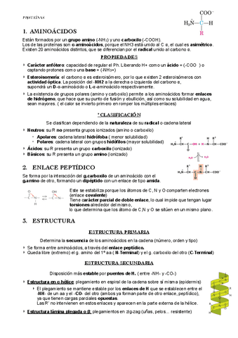 PROTEINAS.pdf
