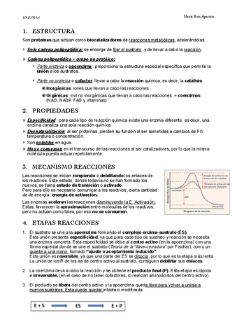 ENZIMAS.pdf