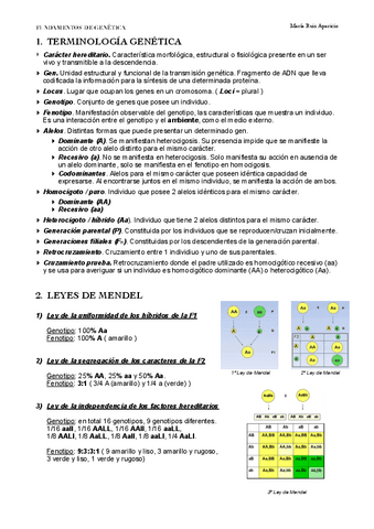 FUNDAMIENTOS-GENETICA.pdf