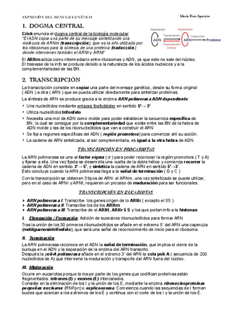EXPRESION-MENSAJE-GENETICO.pdf