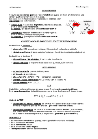 METABOLISMO.pdf