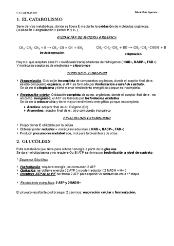 CATABOLISMO.pdf