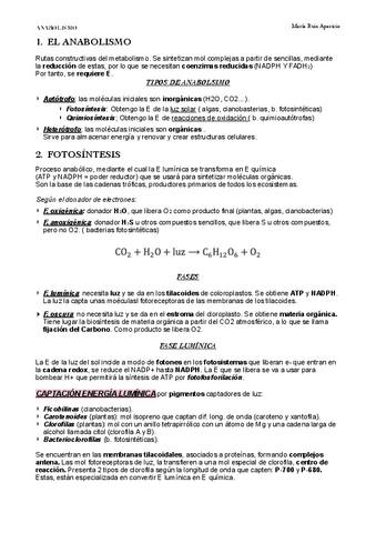 ANABOLISMO.pdf