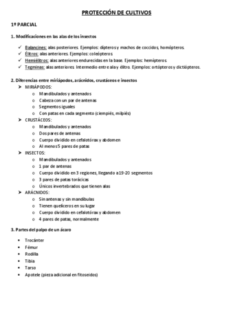 PREGUNTAS-EXAMEN.pdf