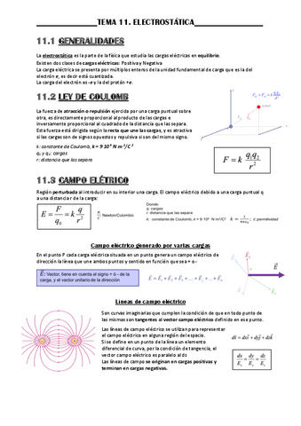 11-ELECTROSTATICA.pdf