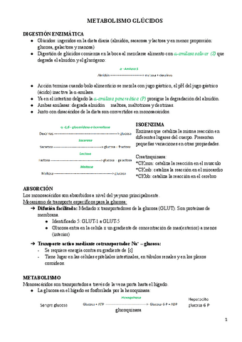 GLÚCIDOS.pdf