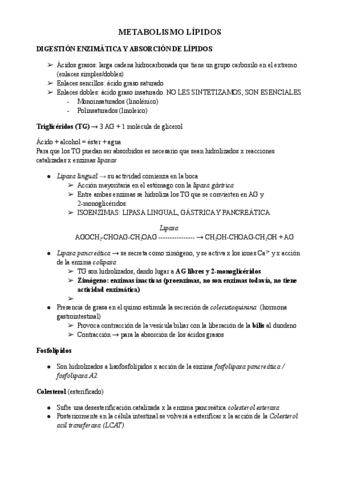LÍPIDOS.pdf