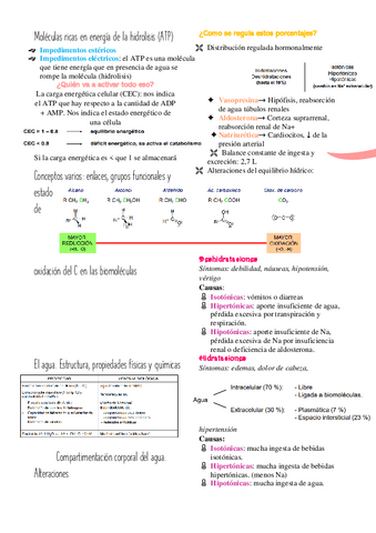 Bioquimica-Tema-1-2-1para-sacar-un-10.pdf