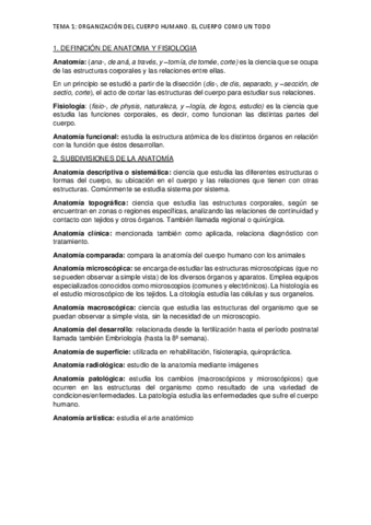 TEMA-1-Organizacion.pdf