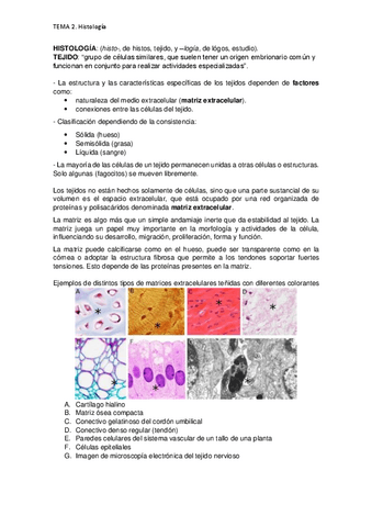 TEMA-2-Histologia.pdf