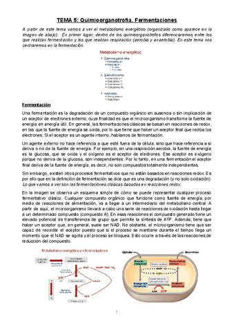 TEMA-5.pdf