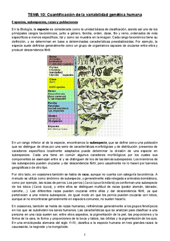 Tema-10-Cuantificacion-de-la-variabilidad-genetica.pdf
