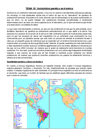 TEMA-15.pdf