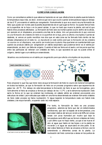 Tema-7.pdf