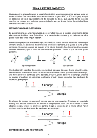 TEMA-2-ESTRES-OXIDATIVO.pdf