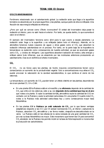 Tema-10B.pdf