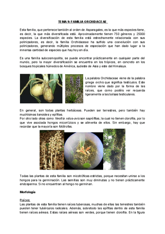 Tema-9-Orchidaceae.pdf