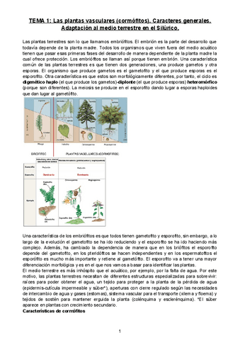 Tema-1.pdf