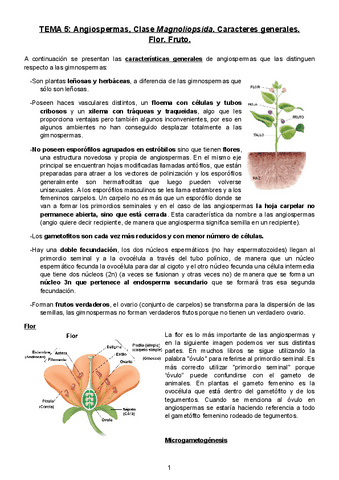 TEMA-5.pdf