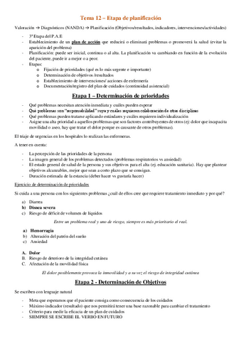 Tema-12-Planificacion.pdf