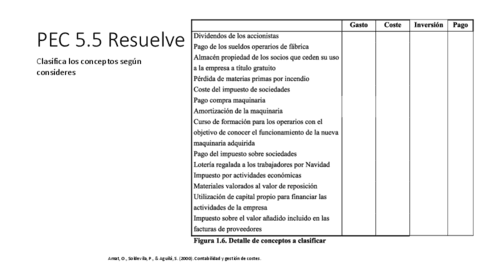 PEC55CosteGastoInversionSolucion-2.pdf