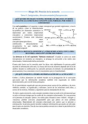 RESUMEN-T5-memoria.pdf