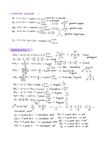 EJERCICIOS-DE-TODOS-LOS-SEMINARIOS.pdf