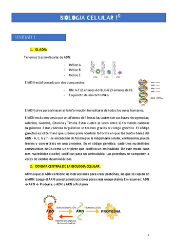 U-1.BIOLOGIA-CELULAR.pdf