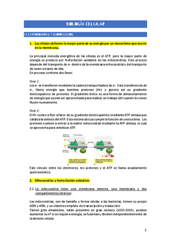 U.3-BIOLOGIA-CELULAR.pdf