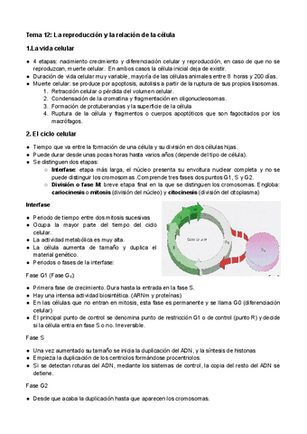 Tema-12-La-reproduccion-y-la-relacion-de-la-celula.pdf
