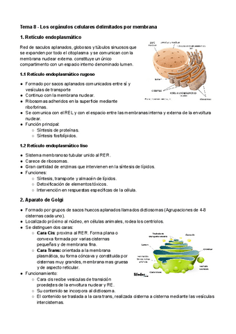 Tema-8-Los-organulos-celulares-membranosos.pdf