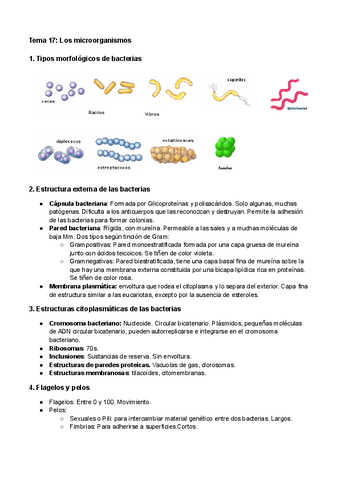 Tema-17-Los-microorganismos.pdf