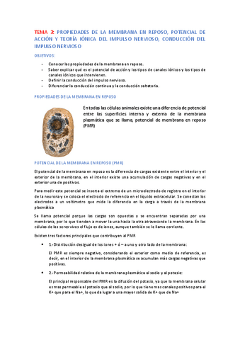 FISIOLOGIA-TEMA-3.pdf